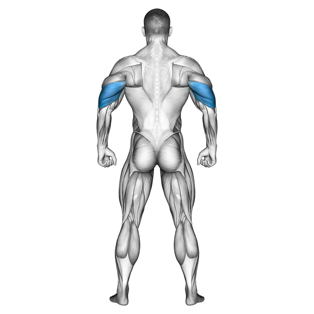 One Arm Tricep Extension – How To Video, Alternatives & More